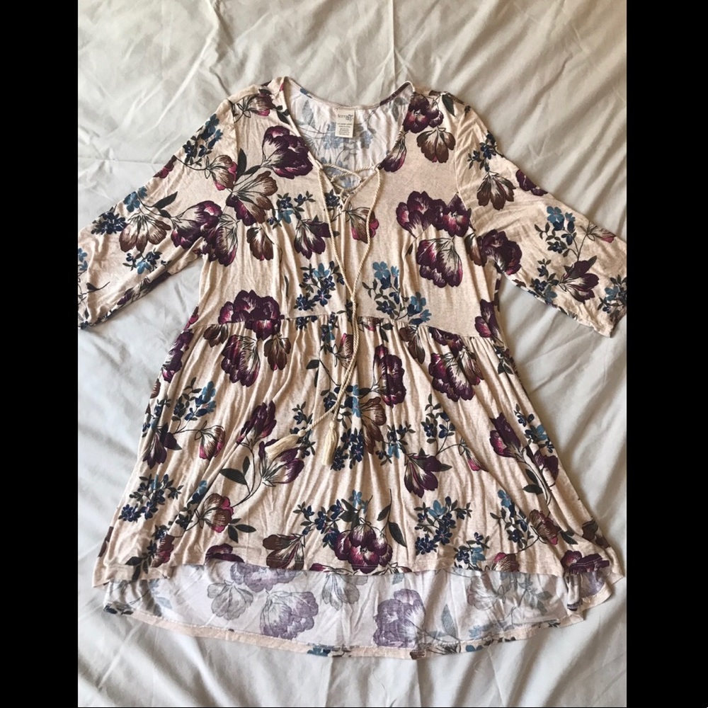 Terra & Sky plus size shirt that I used as a dress
